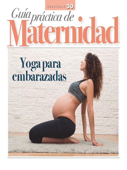 Title details for Guía práctica de Maternidad by Media Contenidos - Available